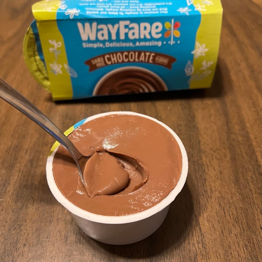 Wayfare Plant-Based Dairy-Free Chocolate Pudding Review